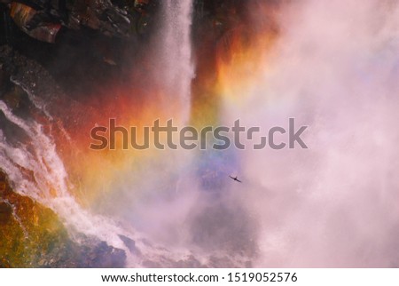 Rainbow and iwatubame(swallow)
 Nikko Kegon Falls