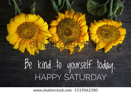 Inspirational motivational quote - Be kind to yourself today. With 3 beautiful sunflowers on rustic wooden table background. Self reminder, happy Saturday greeting concept. Royalty-Free Stock Photo #1519062380