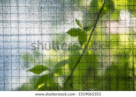 pixelized plants through a security window