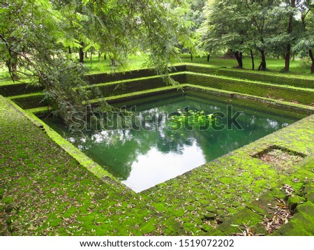 Ruins of the pool in Polonnaruwa, Sri Lanka