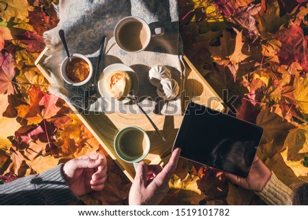 Couple of young people are looking on a tablet having morning breakfast on a wooden tray in the autumn park with colorful maple leaves. Aerial view