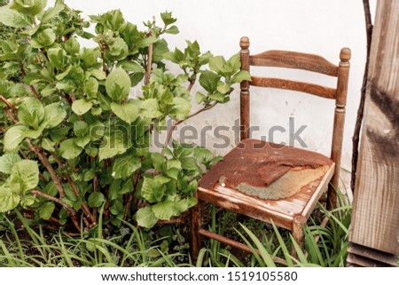 Old chair left in the garden