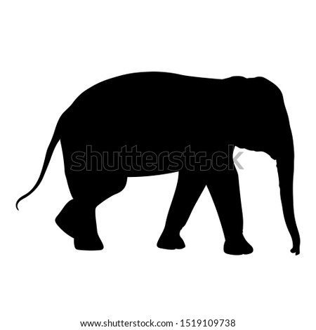 Black elephant silhouette Asia walking, graphics disign vector outline Illustration isolated on white background