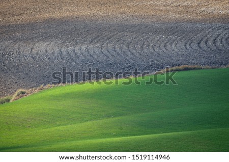 contrasts of tuscany's countryside in autumn