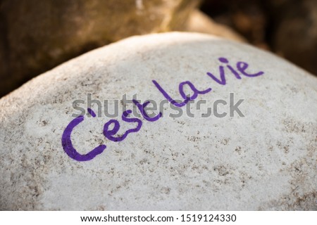 Stone with motivational/inspirational quote 'c'est la vie' 'that's life'