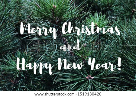 Merry Christmas and Happy New Year. Greeting card. Pine branches texture photography.