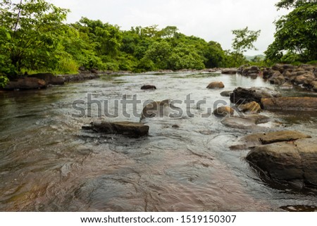 A beautiful scene of a monsoon fed stream flowing in its full glory.  Photographed in sindhudurg district of Maharashtra, India