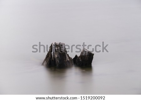 Old tree stumps resting in calm water a dark and gloomy day.