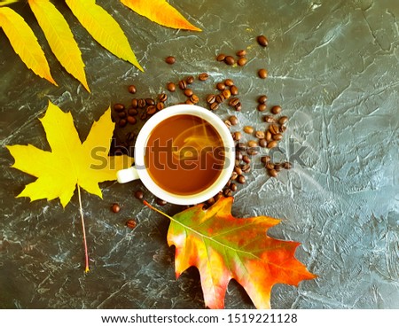 cup of coffee, autumn leaves on concrete background