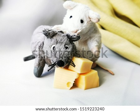 Two cute funny mouse with cheese, a symbol of the year 2020 on the astrological calendar. Photo of children's toys close-up