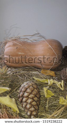 Autumn decorative pumpkins with fall leaves on wooden background