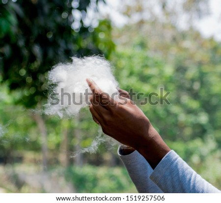 White cotton in hands in outdoor