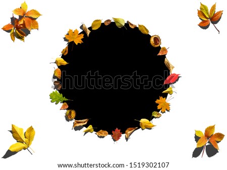 Autumn background with Hello Autumn letters and autumn nature flowers