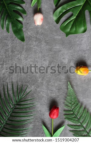 
Tulips Flowers Background Picture With Green Leaves