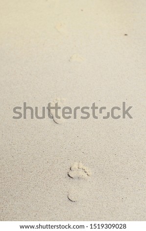 
Woman footprints on the beach