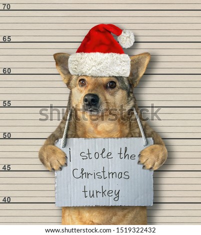 The dog in a red Santa Claus hat was arrested. There is a poster on his neck that says " I stole the Christmas turkey ".  Lineup background.