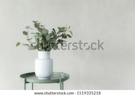tropical plant decoration interior with copy space , bare cement background , horizontal picture minimal style . pollution home concept . Royalty-Free Stock Photo #1519335218