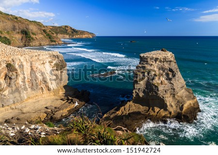 Muriwai Beach on the West Coast of the North Island, Auckland, New Zealand Royalty-Free Stock Photo #151942724