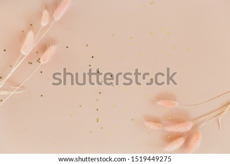 Pink background with dried bunny tail grass and gold star glitter confetti, copy space, advertising background