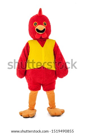 Man in a red chicken costume,full body isolated on white.,various pose,Perfect for mascot.
