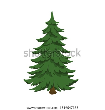 Isolated image of fir. Green pine in cartoon style. Forest tree on white background. Vector illustration