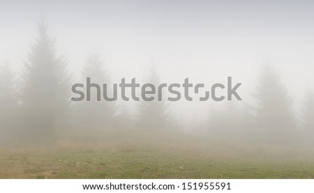 Mountain landscape in deep fog