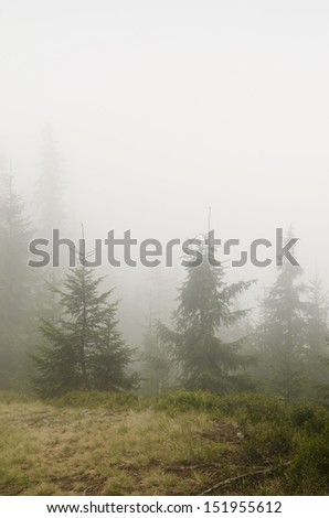 Mountain landscape in deep fog