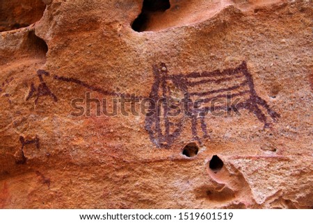 Rock painting in the region of "Serra da Capivara" - State of Piaui - Northeast Brazil. The picture seems to depict a hunted boar.