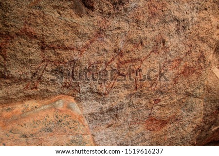 Rock painting in the region of "Serra da Capivara" - State of Piaui - Northeast Brazil. The picture seems to depicta herd of deers.
