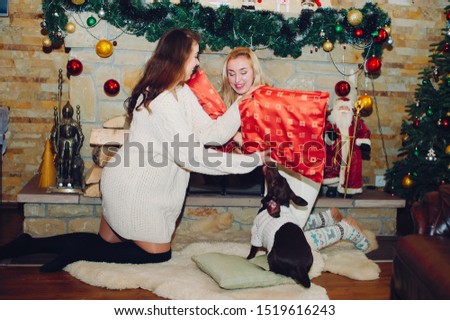 Two beautiful girls in a decorated room. Women sitting near Christmas tree. Ladies with dog