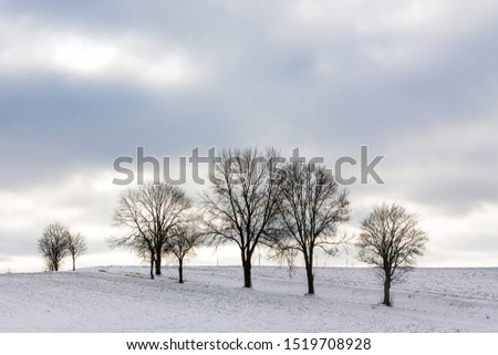 Snowy winter landscape with trees and cloudy sky