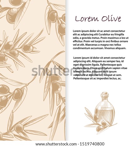 Olive branches banner template and poster