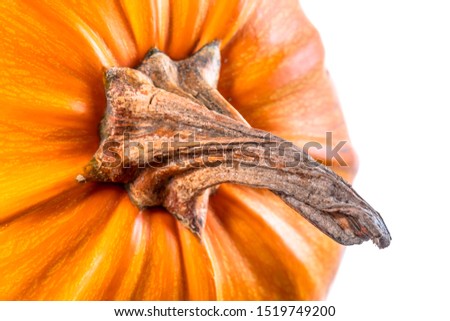 Ripe fresh pumpkin closeup, isolated on white background. Yellow orange pumpkin.
