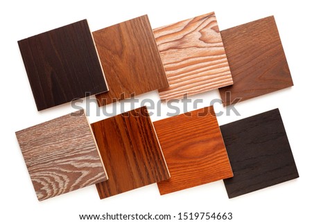 group of eight small samples of wooden parquet from different types of wood, different colors and textures for the designer's work. isolated on white background. Flat lay, top view