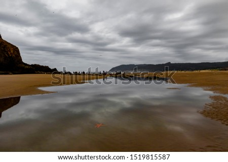Cannon beach at low tide , Oregon