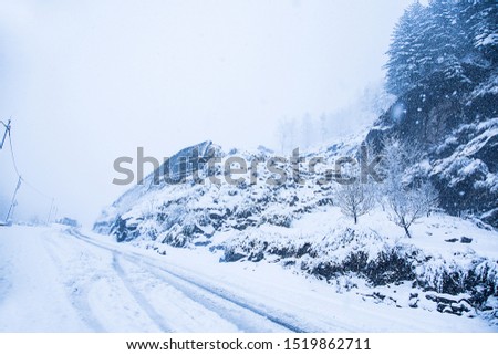 mountains and trees covered with fresh white snow, winter snowstorm concept