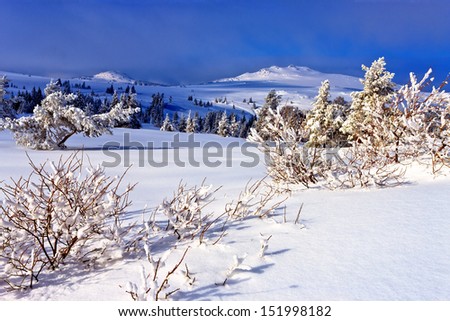 amazing winter landscape