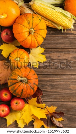 Autumn still life pattern ripe pumpkin apples corn fallen yellow leaves wooden background. Thanksgiving Autumn Concept.