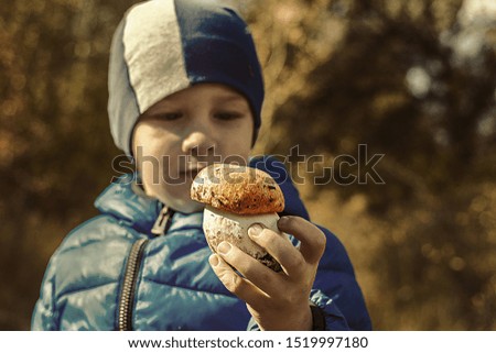 little boy in the forest holds a mushroom in front of him