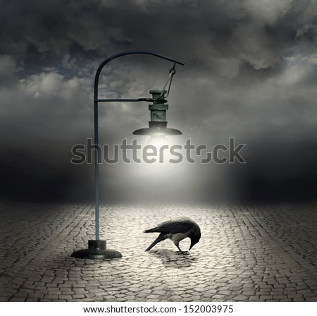 Beautiful artistic image with a streetlight that  illuminates a crow and cobblestones with a dark and cloudy sky on the background