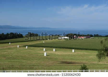 Summer landscape of pasture roll and rural roadside in Hokkaido, Japan