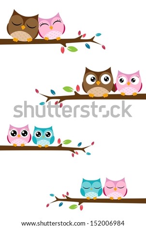 Couples owl on the branch