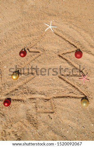Christmas tree made of shells in the sand. Selective focus. nature.