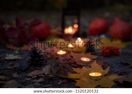 burning candles against a dark forest, orange pumpkins and fallen yellow foliage. Halloween and Thanksgiving