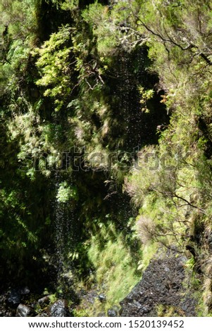 Foot of the waterfall in a levada on the island of Madeira