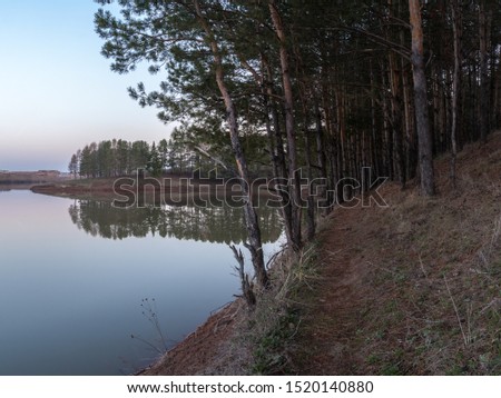 The path between pines at pond's coast in the morning. The smooth water surface in the pond at sunrise