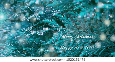 Merry Christmas and Happy New Year greeting card with close up photo of mint green and bluish branches of thuja, covered with ice, decorated with snowflakes and light festive bokeh