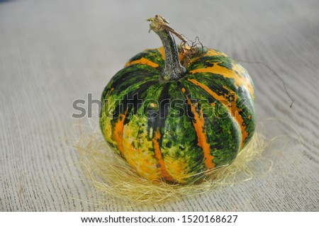 Halloween party. Holiday. Pumpkins for the holiday. Celebration. Bokke. Close-up