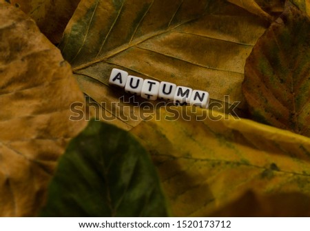 Autumn background lettering i love autumn on wooden background