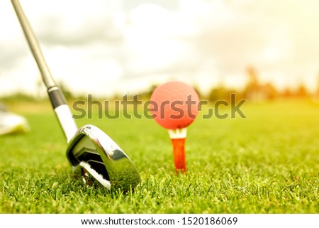 Close up view of golf clubs and golf balls on a green lawn in a beautiful golf course with morning sunshine.